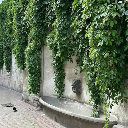Orient Express Apartament *
