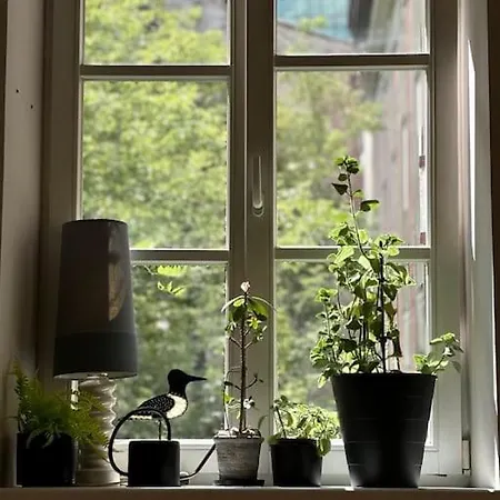 Studio Orient Express Apartment